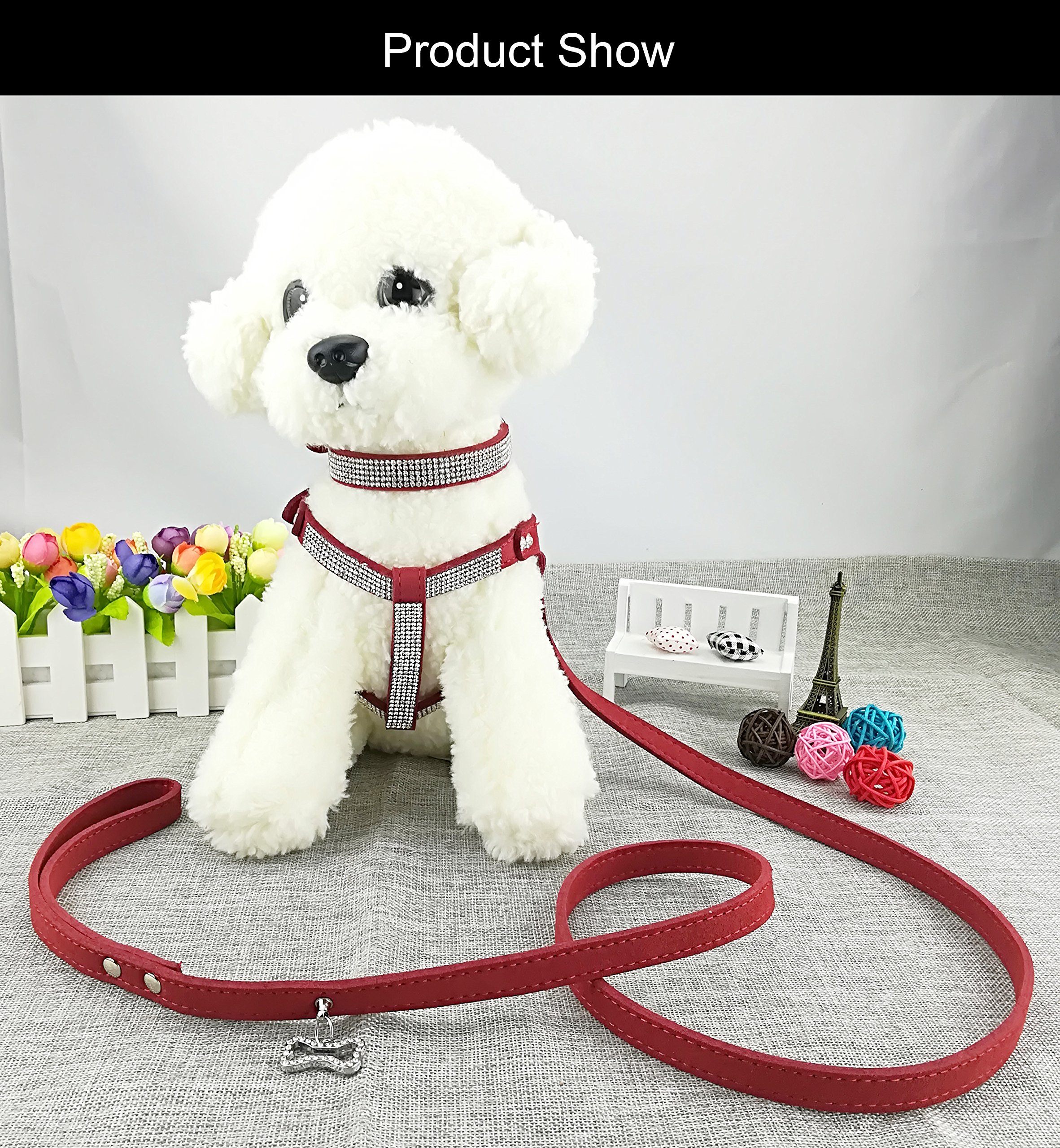 Amazon.co.jp: Newtensina犬用首輪＆ハーネス＆リードセット